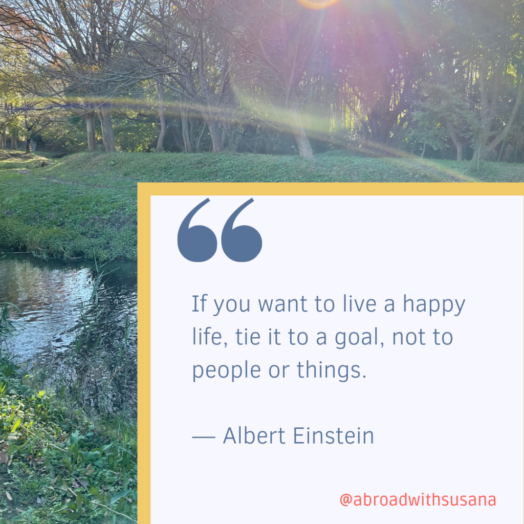 Focus on pursuing your dreams.
Quote: If you want to live a happy life, tie it to a goal, not to people or things.- Albert Einstein